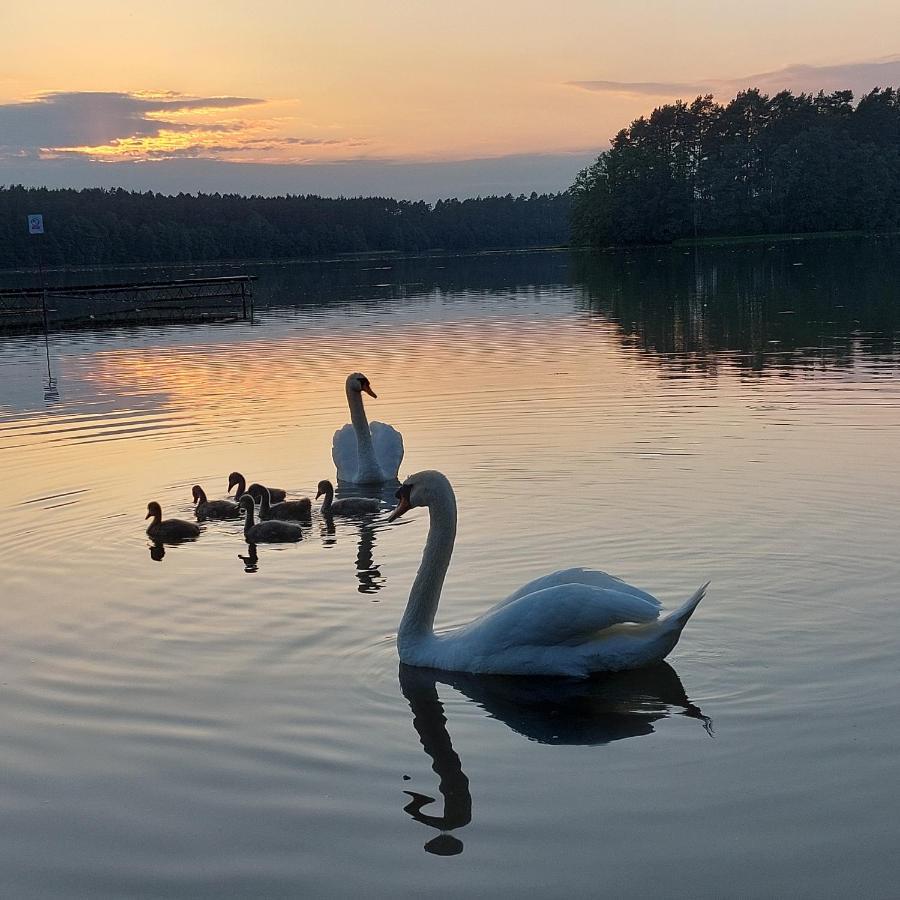 Domek Letniskowy U Marcina I Ani Borsk Dış mekan fotoğraf