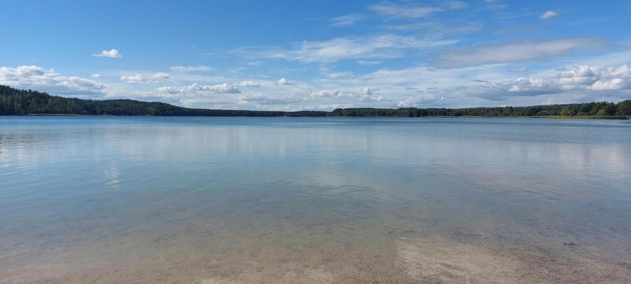Domek Letniskowy U Marcina I Ani Borsk Dış mekan fotoğraf