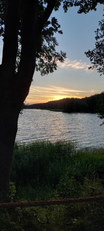 Domek Letniskowy U Marcina I Ani Borsk Dış mekan fotoğraf